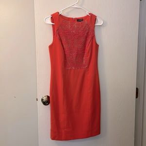 The Limited Dress